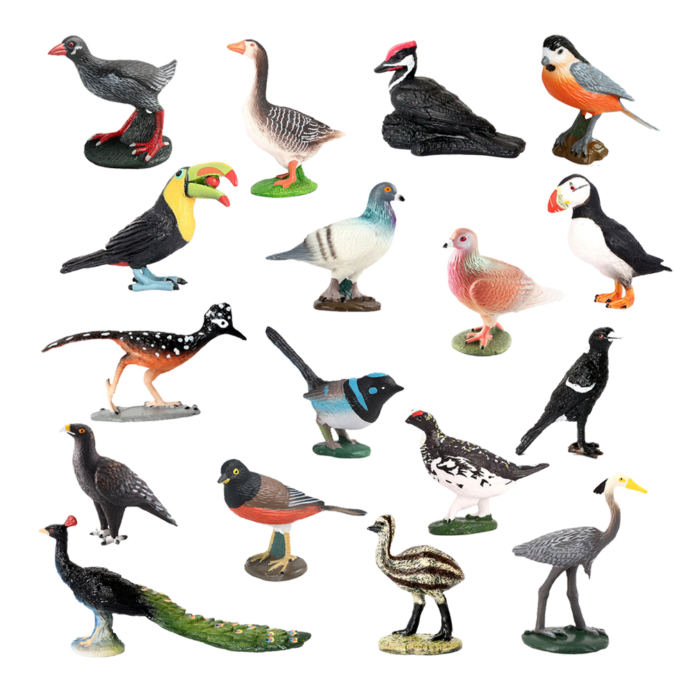 Owl Flamingo Turkey Toucan Sea - Kids Toys Review recension och pris