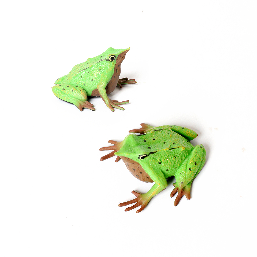 Rainforest Animals Frogs Figur - Kids Toys Review recension och pris