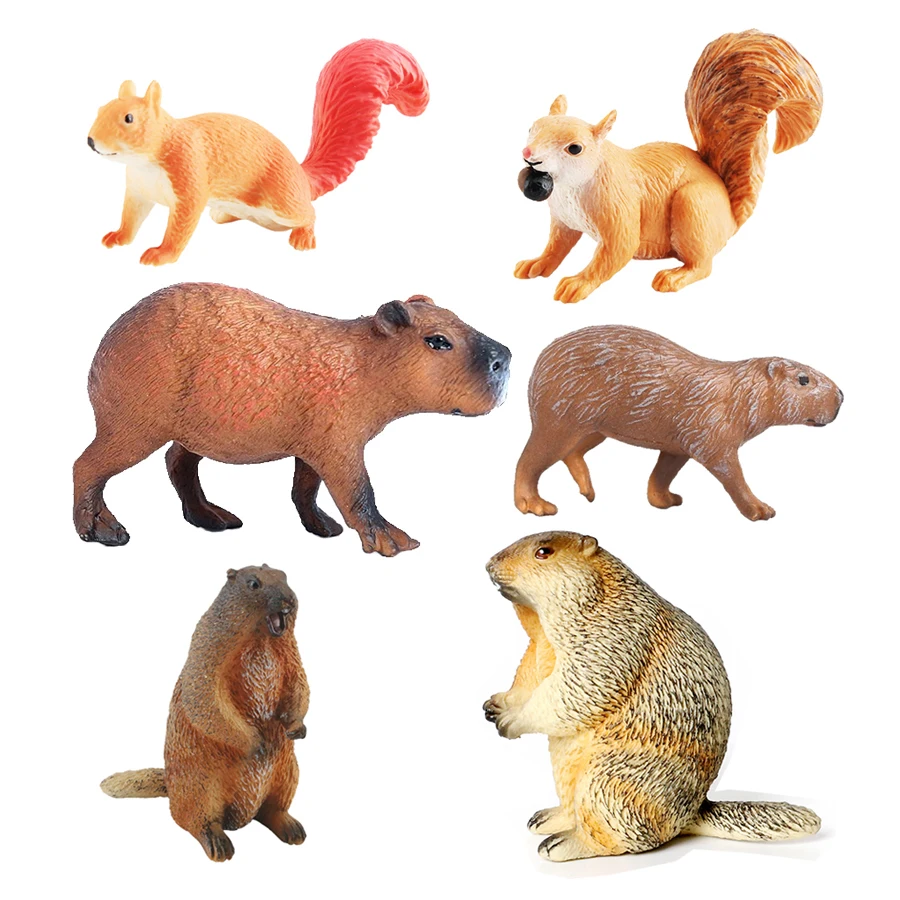 Capibara Capybaras Squirrel Ma - Kids Toys Review recension och pris