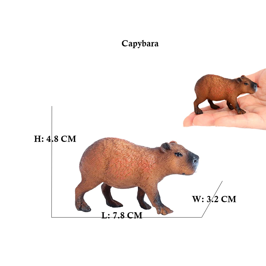 Capibara Capybaras Squirrel Ma - Kids Toys Review recension och pris