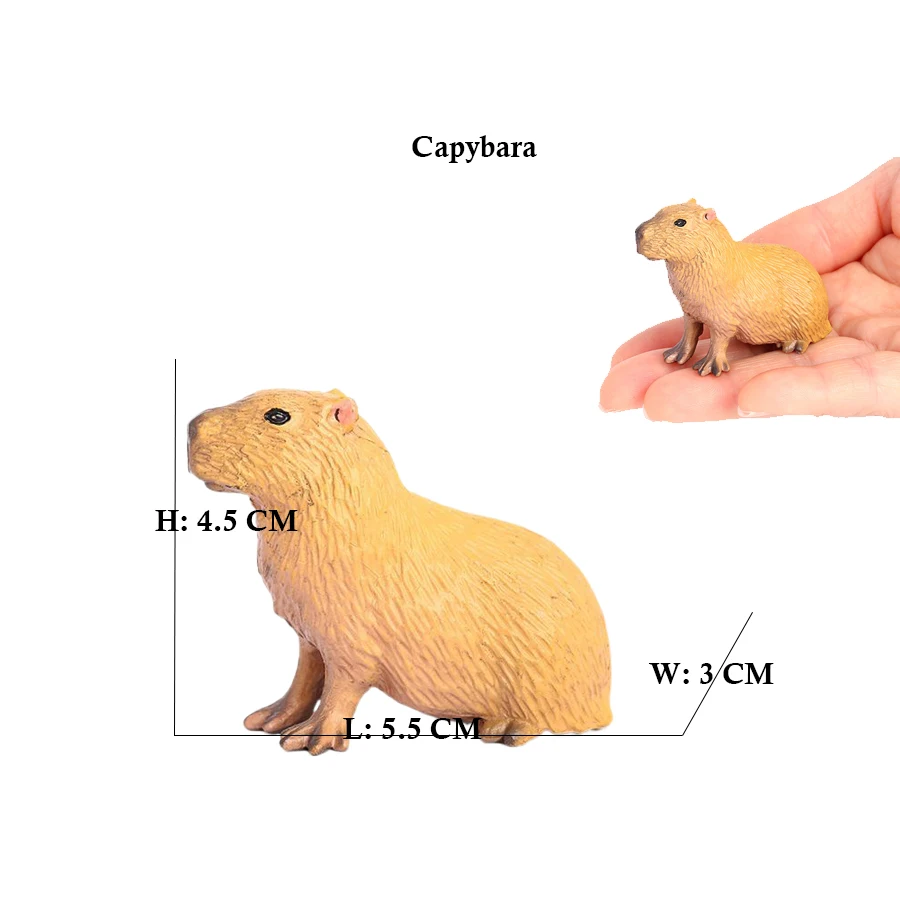 Capibara Capybaras Squirrel Ma - Kids Toys Review recension och pris